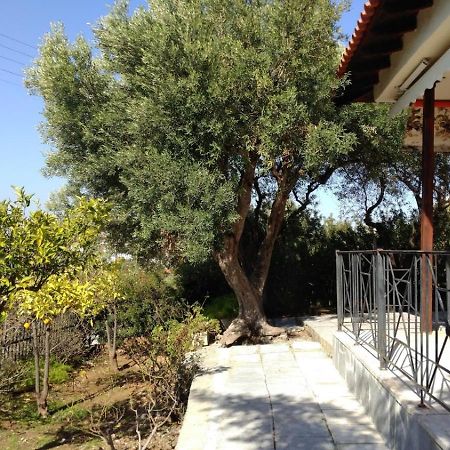 Gerakina Beach Cottage Psakoudia Exteriér fotografie