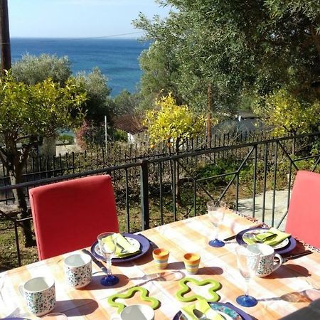 Gerakina Beach Cottage Psakoudia Exteriér fotografie
