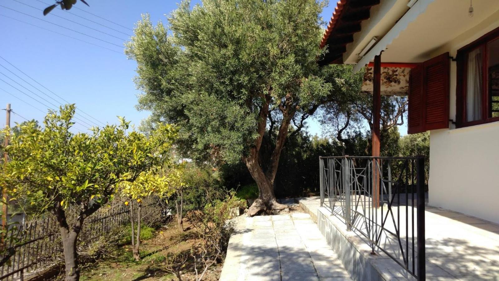 Gerakina Beach Cottage Psakoudia Exteriér fotografie