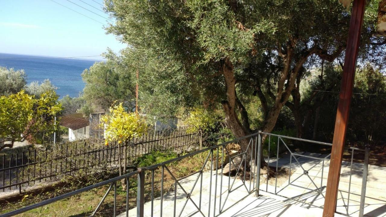 Gerakina Beach Cottage Psakoudia Exteriér fotografie